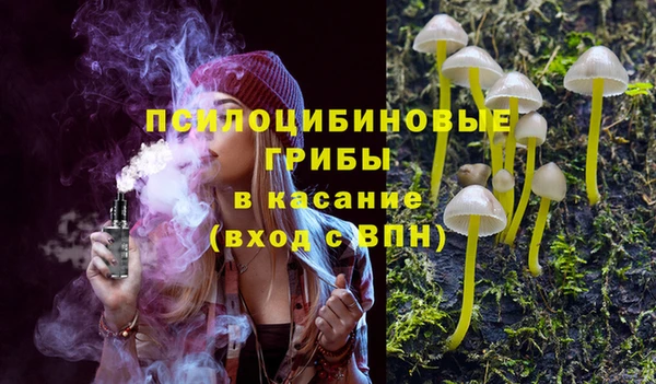 a pvp Краснослободск